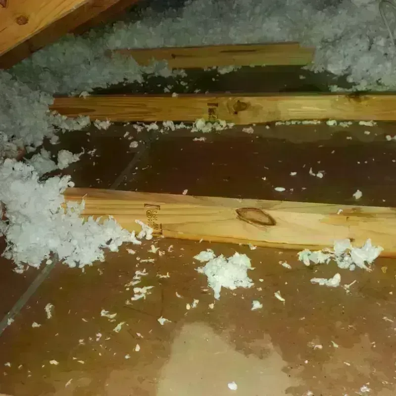 Attic Water Damage in Kittson County, MN