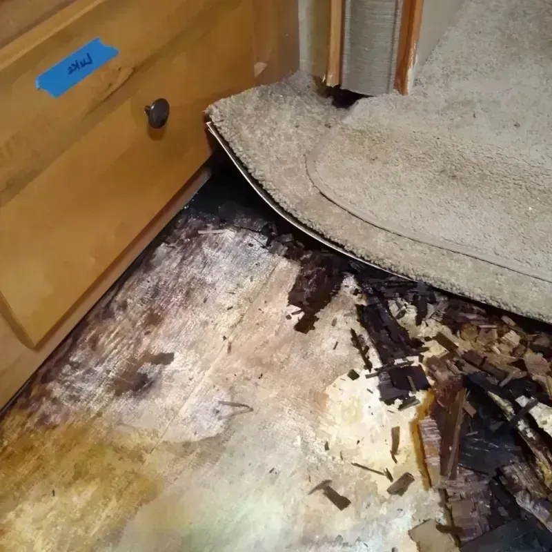 Wood Floor Water Damage in Kittson County, MN